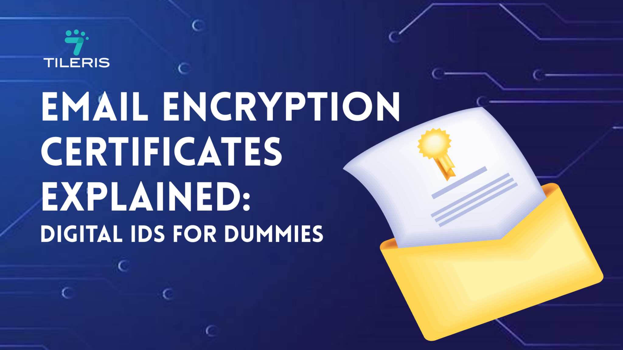Email Encryption Certificates Explained: Digital IDs For Dummies